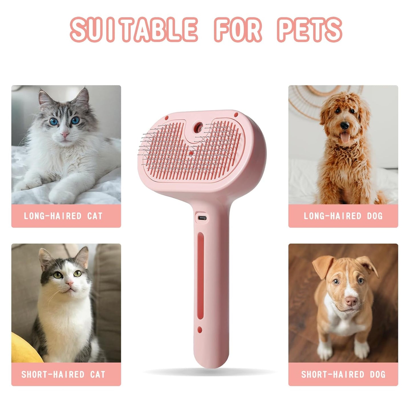 Dog & Cat Grooming
